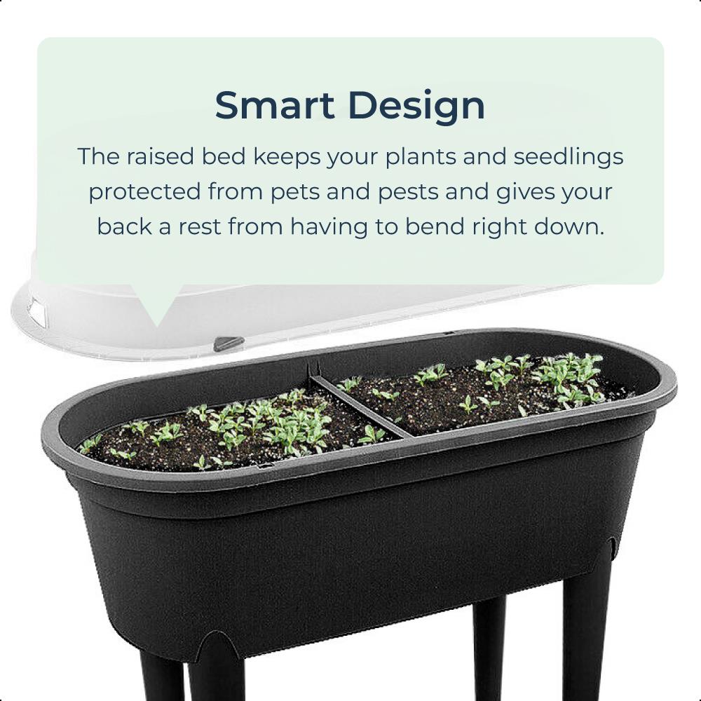 Mini Propagator Raised Planter Garden Outdoor Dark Grey