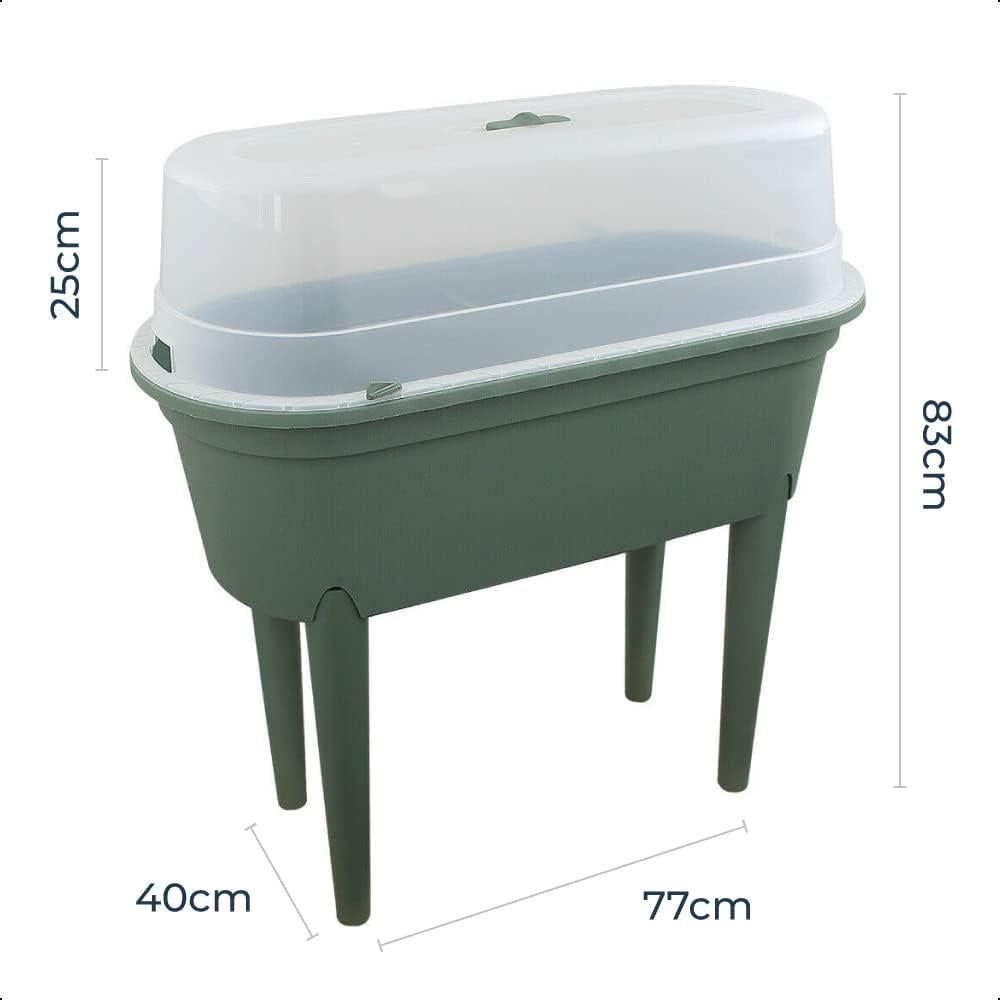 Mini Propagator Greenhouse Outdoor Herb Garden