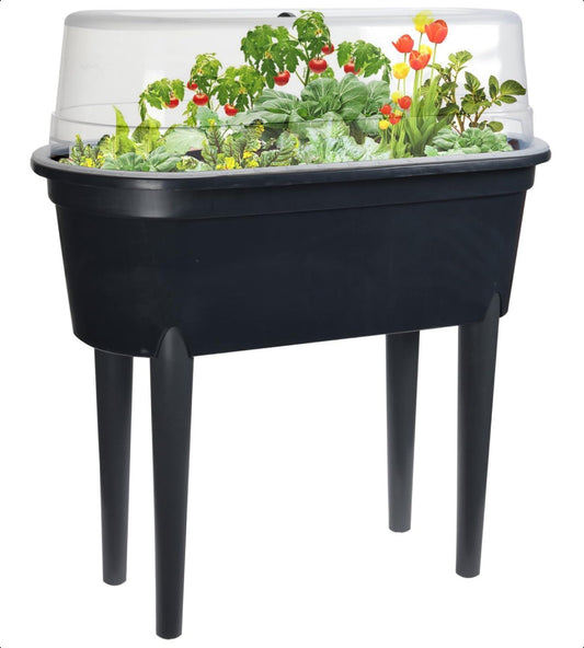 Mini Propagator Raised Planter Garden Outdoor Dark Grey