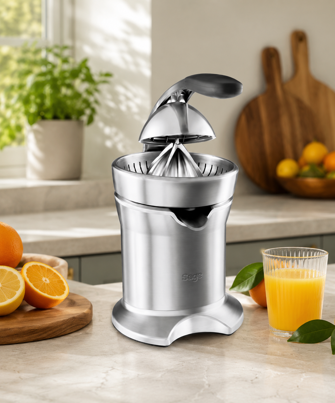Sage The Citrus Press Pro 800CP Fruit Juicer