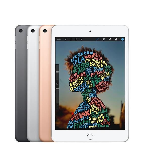 Apple iPad Mini 5 Wi-Fi + 4G Tablet Unlocked 64-256GB