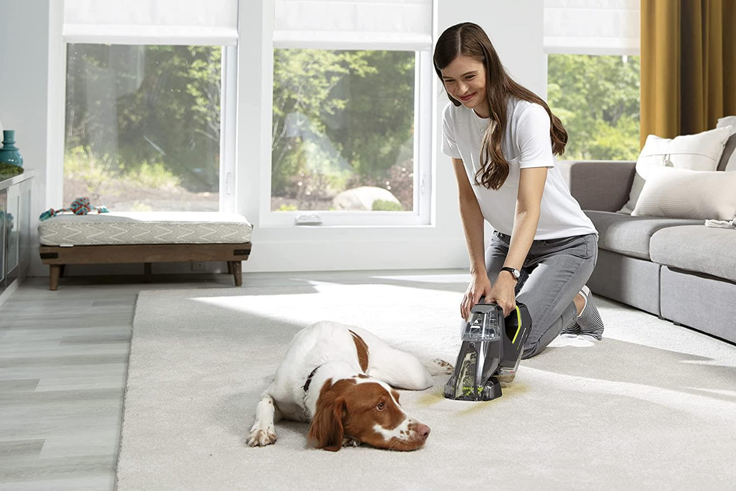 Bissell Pet Stain Eraser 2982E Cordless Carpet Cleaner