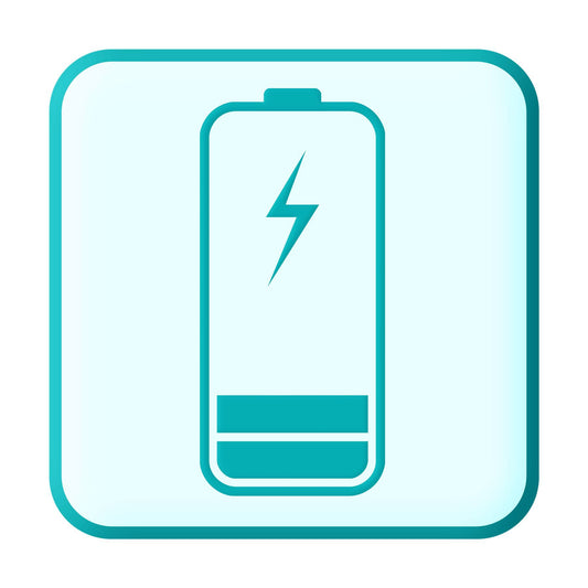 iPad Mini 3rd Gen 2014 Battery Repair